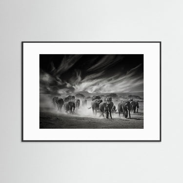 Serengeti Giants Monochromatic Might