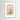 Rome Flower Market No. 9