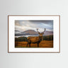 The Highlands Autumn Majesty