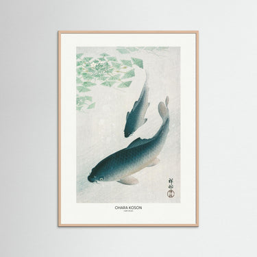Carp Or Koi