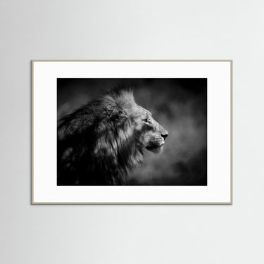 The Sentinel Profile of Power