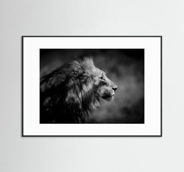 The Sentinel Profile of Power
