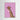 The Safari Collection Bubblegum Giraffe