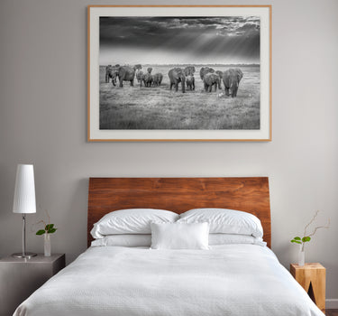 Serengeti Sunbeams Celestial Gathering