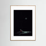 Moonlit Solitude